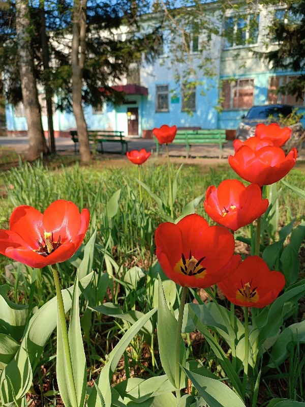 Весна украшает наш центр яркими и ароматными цветами!🌹🌼🌷🪷🌸