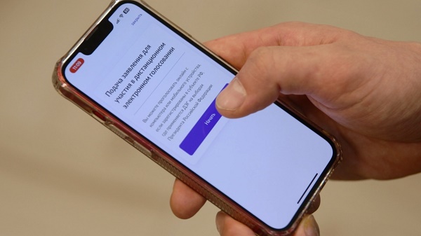 Начался прием заявлений для участия в дистанционном электронном голосовании
