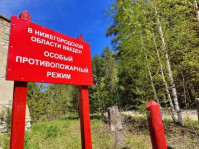 В Нижегородской области введен особый противопожарный режим